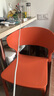 铜强餐椅椅子塑料家用网红餐厅加厚简约现代北欧书桌靠背椅化妆餐桌椅 橘色 整装发货加强加厚 实拍图