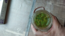 汉山2025新茶春茶汉中仙毫明前采摘高山雀舌绿茶新茶叶可冷泡绿茶 H1入门口粮 100g*1罐 明前鲜嫩芽叶 实拍图