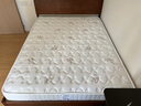 穗宝（SYMBOL）天然乳胶床垫整网弹簧护脊卧室床垫19cm 奥南1.5*2米软硬适中 实拍图