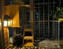 太阳能照明灯户外庭院灯天黑自动亮家用农村用防水防晒人体感应灯 一个装 实拍图