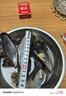 十里馋连云港鲜活青口贝贻贝顺丰特大新鲜大海虹鲜活淡菜 鲜活发货【顺丰】 3斤(净重) 实拍图