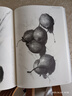 经典全集《素描基础教程》自学入门教材书籍铅笔手绘画画册本从单个体石膏几何体成人美术临摹范本到精通人物 实拍图