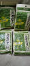 洽洽海盐味瓜子500g*1袋 大包装葵花籽炒货团购休闲零食小吃新风味 实拍图