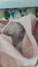 浪莎收腹无痕女士内裤高腰纯棉裆底裤4条大码高弹短裤日系三角裤 实拍图