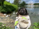 尼多熊儿童内裤女中大童A类平角纯棉婴儿不夹pp透气舒适四角短裤L码 实拍图