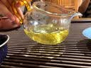 云庚正宗易武麻黑古树普洱生散茶高端高品质易武正山生普礼盒装森林茶 易武麻黑森林茶[100克品鉴] 实拍图
