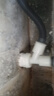 爽威 洗衣机地漏三通接头 洗衣机排水管厨房下水管地漏三通防臭盖接口两用三合一接头 DL02 实拍图