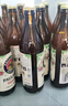 保拉纳（Paulaner） 柏龙 混合小麦啤酒 500ml*10瓶 黑白组合装 苏超 看球 实拍图