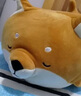 名创优品（MINISO）柴犬系列毛绒公仔趴姿玩具娃娃抱枕睡觉室内卧室办公室生日礼物 实拍图