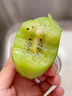沐小七果蔬 陕西周至徐香猕猴桃绿心奇异果水果礼盒年货礼盒非翠香亚特 稀缺果王 | 20枚装 单果110-130g【甜度翻倍】 9A级精选果 | 自吃推荐 实拍图