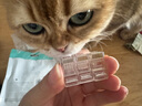 山泽 六类网线水晶头 6类千兆网络接头 CAT6工程级RJ45电脑连接器 适用超六类非屏蔽网线10个 WL-6010 实拍图