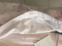 MEJU纯棉双层纱布女长袖睡衣温柔粉色可爱刺绣V领家居服套装女装 粉色刺绣 XL (170) 131-145斤以内 实拍图