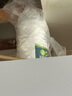 皎洁蚂蚁药一窝全窝非特效端杀虫剂喷雾家用驱除灭杀黑红小蚂蚁500ml 实拍图