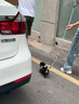 心粮狗粮中大型成犬粮15kg金毛柴犬边牧拉布拉多通用 牛肉味15kg【增肌壮骨】 实拍图