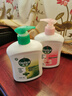 滴露（Dettol）洗手液松木500g瓶 健康抑菌消毒非补充装 儿童家庭用清爽去油 实拍图