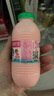 李子园甜牛奶乳饮料草莓味饮品225ml*20瓶学生儿童奶营养早餐奶整箱装 实拍图