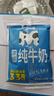 天润（terun）纯牛奶 新疆浓缩M枕早餐奶全脂牛奶袋装 200g*12袋 实拍图