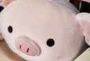 捉趣（ZHUOQU）小猪公仔可爱创意毛绒玩具玩偶陪睡抱枕靠垫娃娃玩偶女生生日礼物 BOBO猪呆萌款 60cm 实拍图