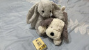 Jellycat害羞银色邦尼兔毛绒玩具安抚玩偶睡觉抱枕送礼潮玩娃娃生日礼物 银色 Medium 实拍图