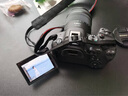 佳能（Canon）r6二代/r6三代全画幅微单相机 vlog视频数码高清R62代 EOS R6 Mark II专业微单 R6二代+RF24-105 STM镜头套机 官方标配【不含内存卡基础配件 推荐购 实拍图