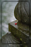 腾龙（Tamron）官方旗舰店 35-150mm全画幅FE卡口/Z口大光圈 腾龙35-150 挂机变焦微单镜头 索尼E卡口 官方标配【送蓝舰UV滤镜礼包+双肩包+脚架环】 实拍图