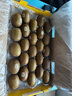 佳沛（zespri）新西兰  阳光金奇异果25-27粒原箱特大果单果约122-146g  猕猴桃 实拍图