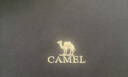 骆驼（CAMEL）丝光珠地棉POLO衫男士透气刺绣翻领商务休闲短袖春夏季M14BA5E114 实拍图
