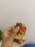 香辣鱿鱼仔满仔小包装烧烤味香辣味带籽炭烧即时小吃 【混合味】20g*10包 实拍图