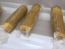 京鲜生 东北黄糯玉米250g*10棒 新鲜甜糯玉米棒真空包装粘玉米 源头直发 实拍图