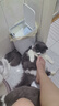 玫斯猫粮（metz）幼猫/成猫猫粮猫全猫粮增肥奶糕英短美短全价美毛 全猫粮6.8KG 实拍图