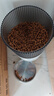 皇家皇家绝育成猫粮 SA37通用粮 1-7岁10KG 实拍图