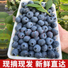 京鲜生 当季云南蓝莓 6盒超大果22mm+ 125g/盒 生鲜水果 源头直发 包邮 实拍图
