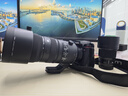 适马（SIGMA）70-200mm F2.8 DG DN OS | Sports 全画幅微单 恒定大光圈变焦镜头70200（L卡口） 实拍图
