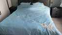 水星家纺四件套 60支新疆长绒棉纯棉贡缎高级轻奢四件套 家用床单被套枕套 春日芬芳【国风刺绣|礼盒装】 1.8m床 床单款 （被套220*240cm） 实拍图