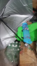 【全网爆款】手动UV折叠雨伞男女晴雨伞两用防晒遮阳黑胶伞 【新人福利】7骨手动纯色 颜色随机 实拍图