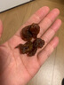 方家铺子中华老字号 六星桂圆肉458g无核免剥桂圆干特级 福建特产龙眼肉厚 实拍图