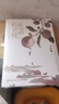 长安的荔枝+太白金星有点烦+龙与地下铁2023新版 小说 马伯庸精选“长安新鲜事”套装（全三册）： 实拍图