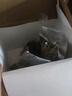 五芳斋喜庆五芳粽子礼盒 1400克 10粽4蛋 嘉兴粽子特产 端午节礼物 实拍图