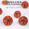 福东海 雪菊50克 昆仑雪菊胎菊新疆特级蕾茶天山血菊花草茶养生茶叶 实拍图