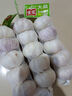 佳农宝菜山东金乡大蒜 0.5斤*3条装 净重1.5斤紫皮蒜头源头直发 实拍图