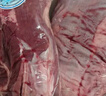 月盛斋【冰鲜牛肉】国产牛腱子净重2斤 内蒙牛肉生鲜鲜肉 中华老字号 实拍图