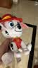 汪汪队立大功（PAW PATROL）汪汪队玩具毛绒全套狗狗玩偶公仔男女孩玩具旺旺队儿童生日礼物 经典款-毛毛公仔【需选尺寸】 中号-坐或站高约17~22.9CM 实拍图