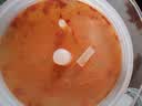名正湖南常德特产新化白溪豆腐乳农家手工自制无油香辣霉豆腐乳下饭菜 1000g*1瓶【塑料坛】 实拍图