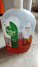 滴露（Dettol）消毒液灭活流感冠状病毒消毒水除菌1.8L*2洗衣家居宠物除螨杀菌 实拍图