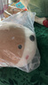 名创优品（MINISO）趴姿系大号趣味狗狗公仔毛绒玩偶玩具抱枕布娃娃生日礼物女卡其色 实拍图