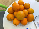 新奇士（Sunkist）澳大利亚进口蓝标早脐橙7斤礼盒 单果180g起 新鲜水果 实拍图