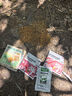 网易严选全价猫粮 宠物主粮幼猫成猫全价粮猫咪食品 深海鱼虾口味50g*2 实拍图