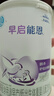 雀巢（Nestle） 早启能恩 特殊配方奶粉 早产低体重婴儿配方奶粉 400g 实拍图