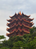 闲鸟（XIANNIAO）汽车遮阳伞前挡风玻璃遮阳挡车内遮阳帘车前隔热板夏季车载防晒伞 晒单实拍图