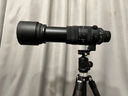适马（SIGMA）60-600mm F4.5-6.3 DG DN OS｜Sports 全画幅微单 超远摄变焦镜头 人像打鸟（索尼E口） 实拍图